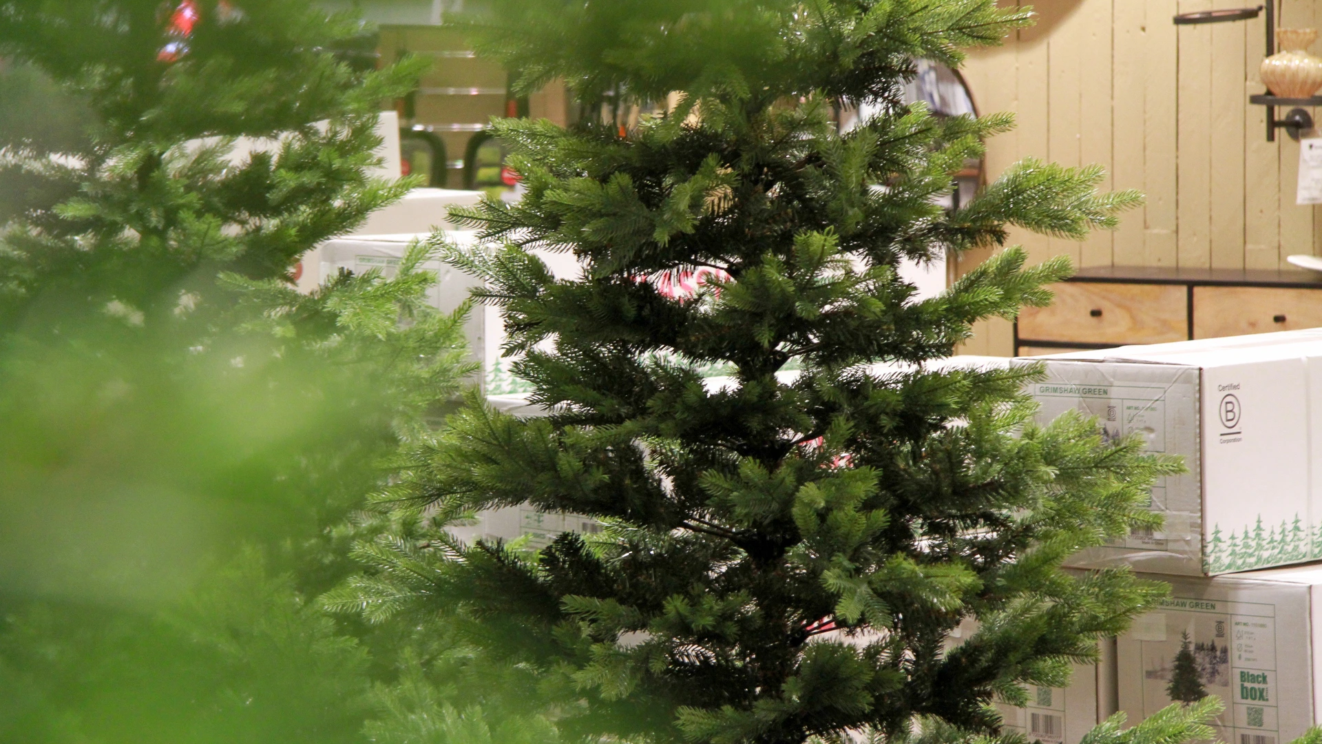Sapins de Noël décorés et illuminés dans le showroom Kichechef